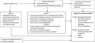 University Students Adjusting to COVID-19 Stressors: Exploratory and Confirmatory Factor Analyses of the COVID-19 Stressors Questionnaire